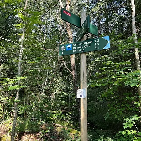 Fjord With Sea View South Of